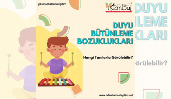 Duyu Bütünleme Bozuklukları Hangi Tanılarla Görülebilir