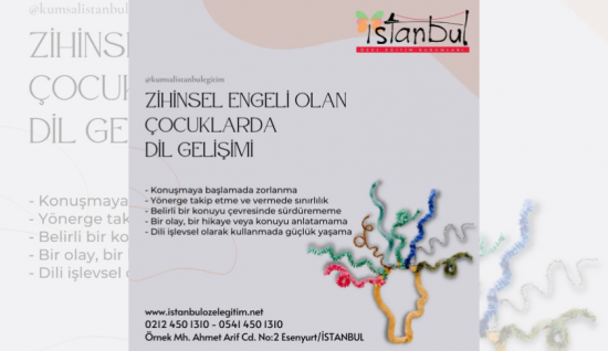 Zihinsel Engeli Olan Çocuklarda Dil Gelişimi