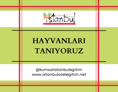 Hayvanları Tanıyoruz