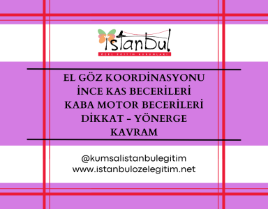 El Göz Koordinasyonu - İnce Kas Becerileri - Kaba Motor Becerileri - Dikkat - Yönerge - Kavram