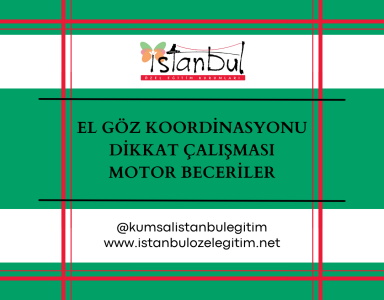 El Göz Koordinasyonu - Dikkat Çalışması - Motor Beceriler