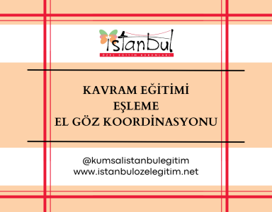 Kavram Eğitimi - Eşleme - El Göz Koordinasyonu