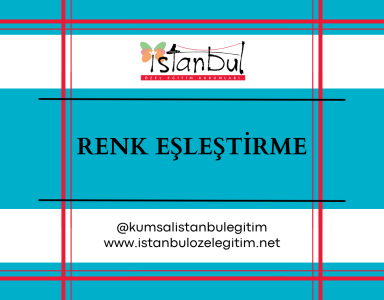 Renk Eşleştirme